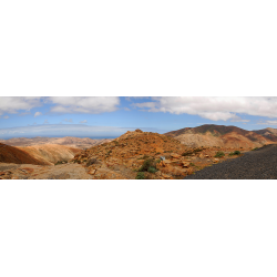 Weststrand Blick Fuerteventura
